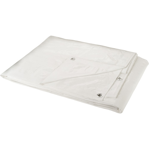 Tarp, Heavy-Duty, White, 30' x 20' x 6 mils Les Distributions ICE