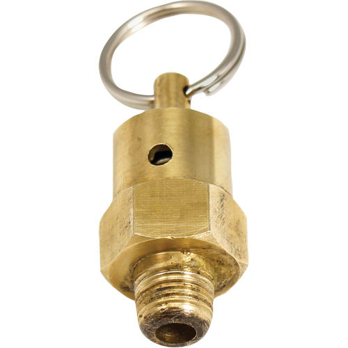 Viton&reg; Pressure Relief Valve Les Distributions ICE