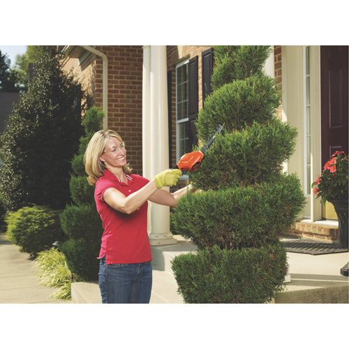 Cisailles de jardin/cisailles &agrave; haie 2-en-1, &agrave; pile, 3,6 V, Largeur de la coupe 4"/6" Les Distributions ICE
