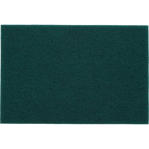 Tampons manuels Bear-Tex, Oxyde d'aluminium, 6" x 9", Grain Tr&egrave;s fin Les Distributions ICE