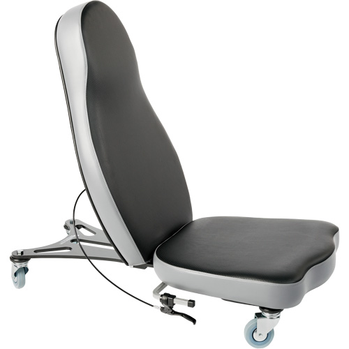 Flex 2 Ergonomic Chair, Vinyl, Black Les Distributions ICE