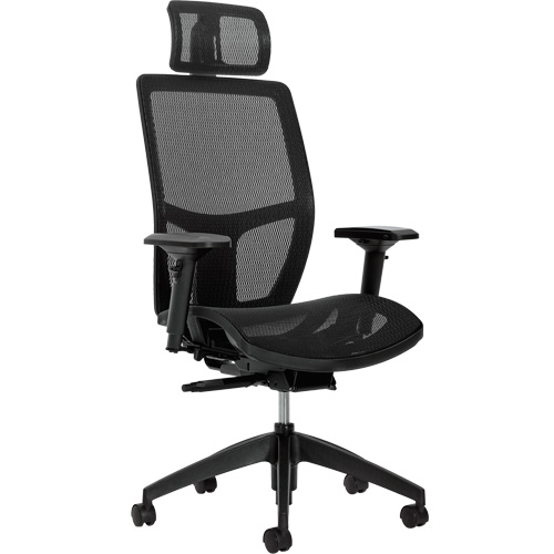 Format+ High-Back Weight-Sensing Synchro-Tilter with Headrest, Mesh, Black, 300 lbs. Capacity Les Distributions ICE