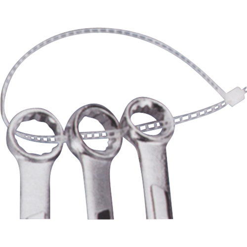 Ladder Ties, 7" Long, 40 lbs. Tensile Strength, Natural Les Distributions ICE