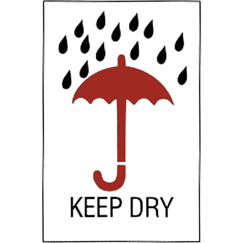 "Keep Dry" Special Handling Labels, 6" L x 4" W, Red on White Les Distributions ICE