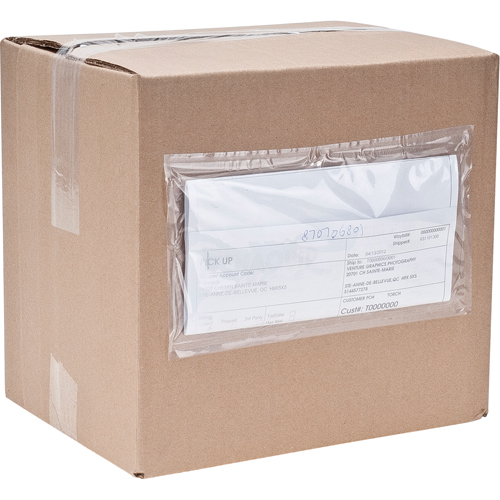 Packing List Envelopes, 4" L x 5" W, Endloading Style Les Distributions ICE