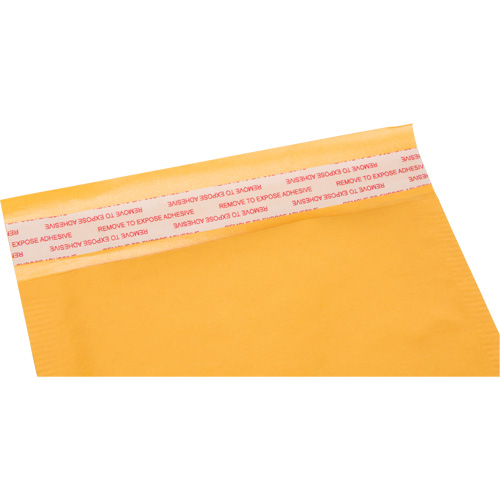 Bubble Shipping Mailer, Kraft, 6" W x 10" L Les Distributions ICE