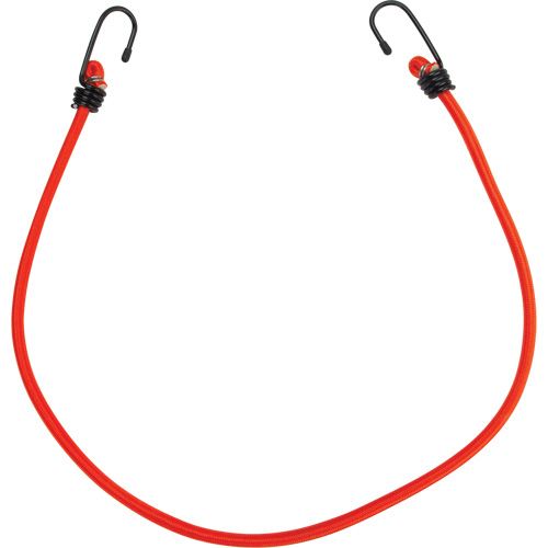Bungee Cord Tie Downs, 30" Les Distributions ICE