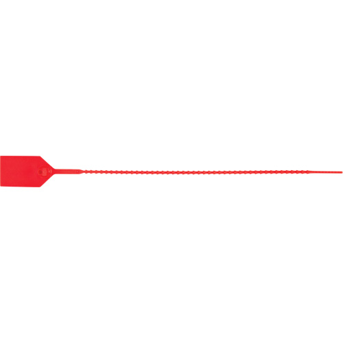 Scell&eacute; de s&eacute;curit&eacute; standard, 12", Plastique, Scell&eacute; en plastique Les Distributions ICE