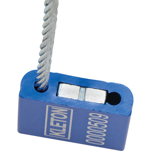 Scell&eacute;s de haute s&eacute;curit&eacute;, 12", M&eacute;tal, Scell&eacute; &agrave; c&acirc;ble Les Distributions ICE