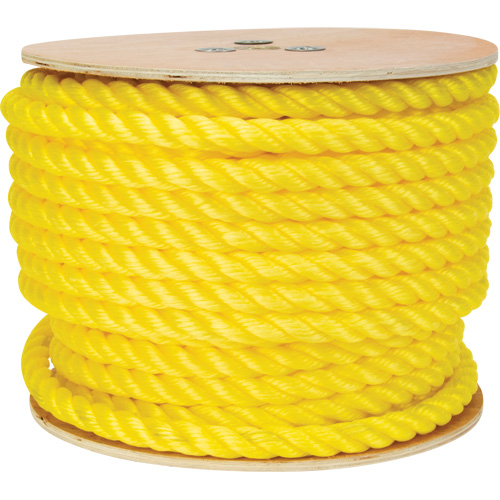 Corde jaune tress&eacute;e, Polypropyl&egrave;ne, 144' Les Distributions ICE