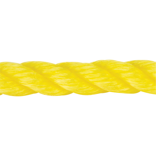 Corde jaune tress&eacute;e, Polypropyl&egrave;ne, 144' Les Distributions ICE