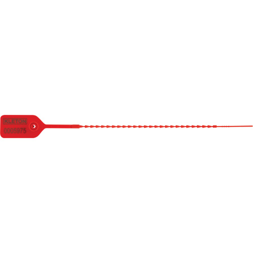 Standard-Duty Security Seal, 9", Plastic, Pull-Through Les Distributions ICE