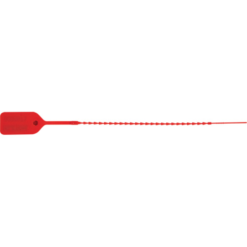 Standard-Duty Security Seal, 9", Plastic, Pull-Through Les Distributions ICE