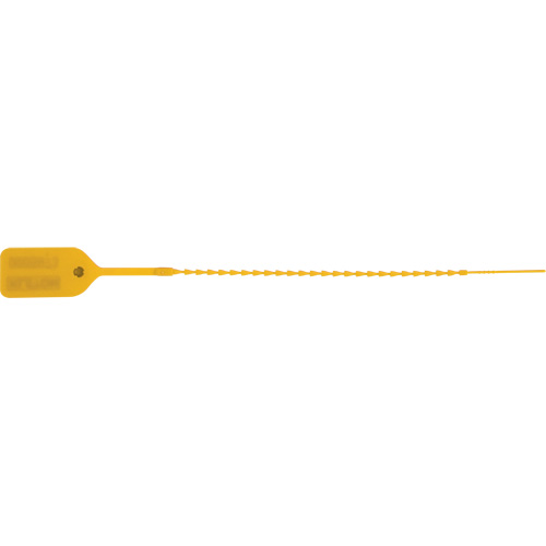 Standard-Duty Security Seal, 9", Plastic, Pull-Through Les Distributions ICE