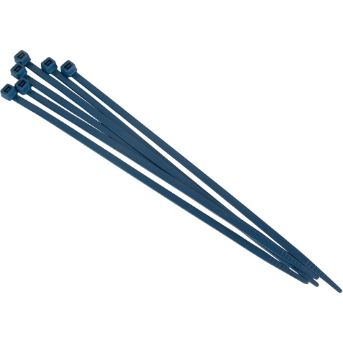 Metal Detectable Cable Ties, 15" L, 120 lbs. Tensile Strength Les Distributions ICE
