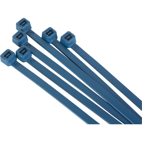 Metal Detectable Cable Ties, 15" L, 120 lbs. Tensile Strength Les Distributions ICE
