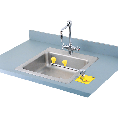 Swing-Away Eyewash Station, Counter-Mount Installation Les Distributions ICE