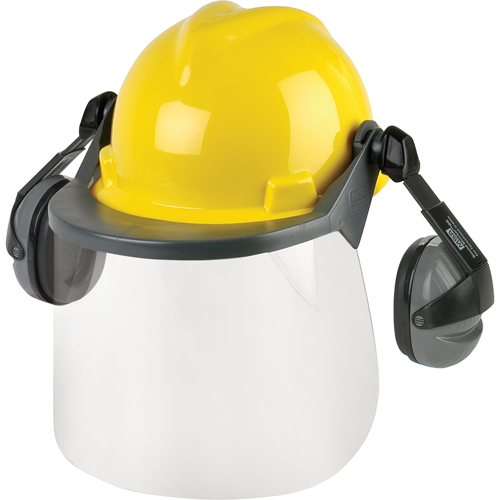 Head & Face Protection Systems Les Distributions ICE