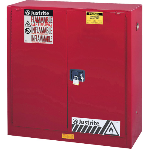 Sure-Grip&reg; EX Combustibles Safety Cabinet for Paint and Ink, 40 gal., 3 Shelves Les Distributions ICE