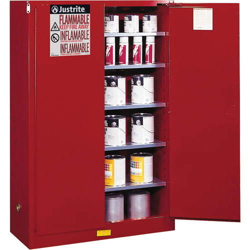 Armoire de s&eacute;curit&eacute; pour la peinture et les encres combustibles EX Sure-Grip, 60 gal., 5 tablettes Les Distributions ICE