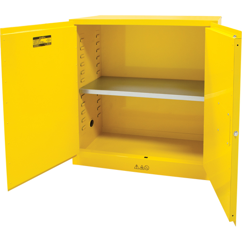 Flammable Storage Cabinet, 30 gal., 2 Door, 43" W x 44" H x 18" D Les Distributions ICE