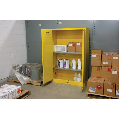 Armoire pour produits inflammables, 45 gal., 2 Porte(s), 43" La x 65" h x 18" p Les Distributions ICE