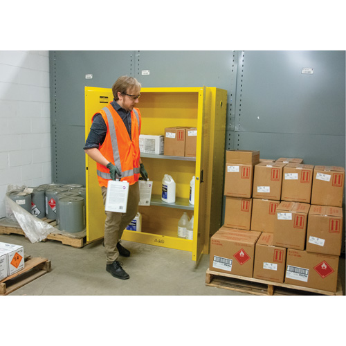 Armoire pour produits inflammables, 45 gal., 2 Porte(s), 43" La x 65" h x 18" p Les Distributions ICE