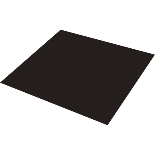 Plaque antid&eacute;rapante Safestep, 47" la x 47" lo, Noir Les Distributions ICE