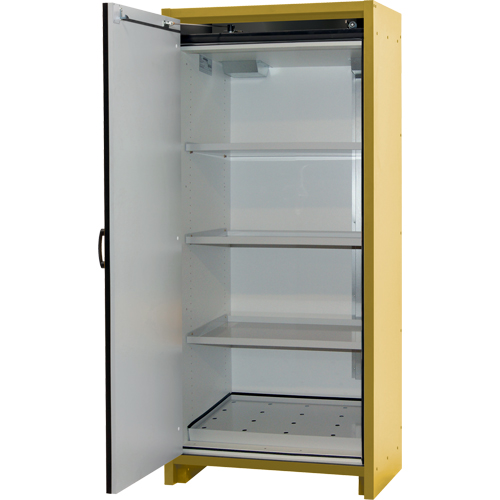 Armoire d'entreposage 30 minutes s&eacute;curitaire et conforme &agrave; la norme EN, 30 gal., 1 Porte(s), 34,02" La x 76,65" h x 24,21" p Les Distributions ICE