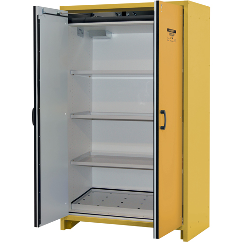 Armoire d'entreposage 30 minutes s&eacute;curitaire et conforme &agrave; la norme EN, 45 gal., 2 Porte(s), 45,83" La x 76,65" h x 24,21" p Les Distributions ICE