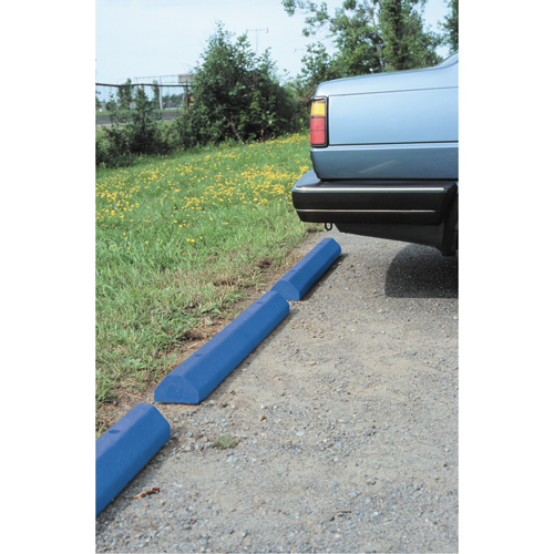 Car Stops, Plastic, 6' L, Blue Les Distributions ICE