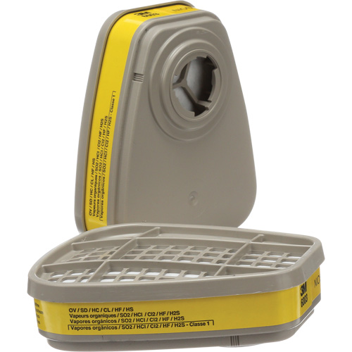 6000 Series Respirator Cartridges, Gas/Vapour Cartridge, Organic Vapour/Acid Gas Les Distributions ICE