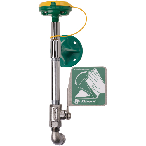 Axion&reg; Eye/Face Wash Station, Wall-Mount Installation Les Distributions ICE