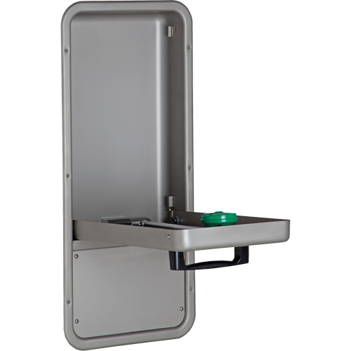 Eye/Face Wash Station, Wall-Mount Installation, Stainless Steel Bowl Les Distributions ICE