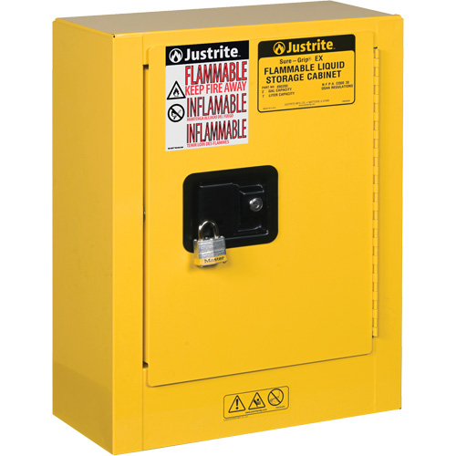 Mini-armoires de s&eacute;curit&eacute; Sure-Grip EX pour produits inflammables, 2 gal., 1 Porte(s), 17" La x 22" h x 8" p Les Distributions ICE