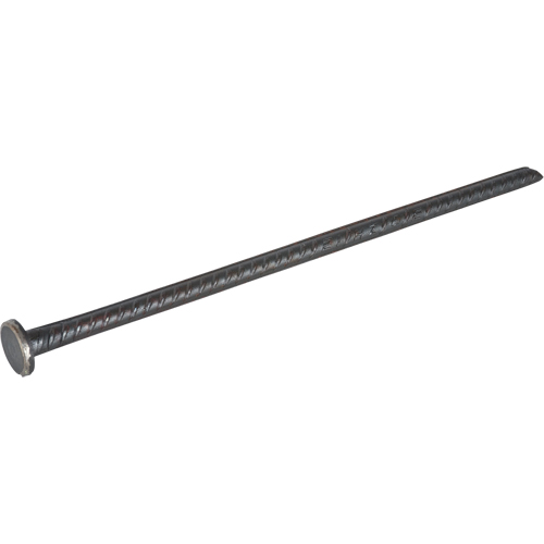 Rebar Spike Les Distributions ICE