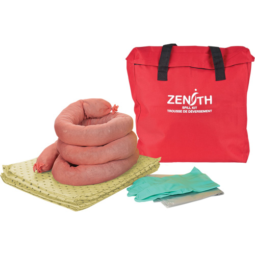 Trousse &eacute;conomique de lutte contre les d&eacute;versements, Mati&egrave;res dangereuses, Sac, Absorbance de 5 gal. US Les Distributions ICE