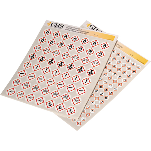 Assortiment d'&eacute;tiquettes avec pictogrammes sgh, Vinyle, Feuille, 1" lo x 1" la Les Distributions ICE