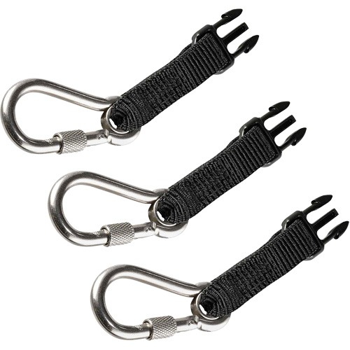 Carabiners Accessory Pack Les Distributions ICE