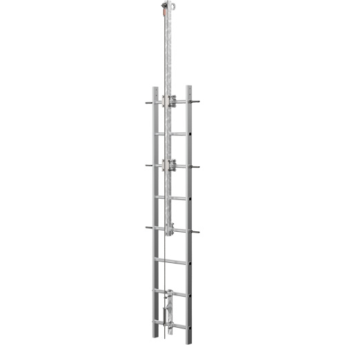 Syst&egrave;me de s&eacute;curit&eacute; continue Vi-Go pour monter aux &eacute;chelles avec traverse automatique, Acier inoxydable Les Distributions ICE