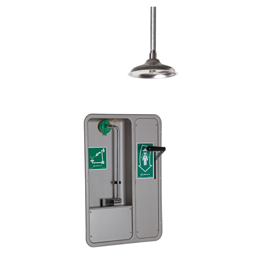 Eye/Face Wash and Shower, Ceiling-Mount Les Distributions ICE