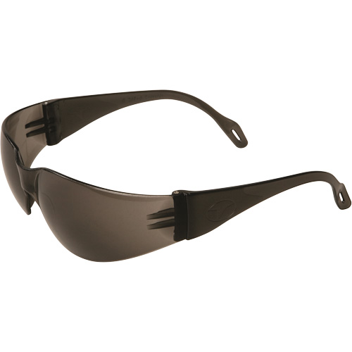 Veratti&reg; 2000 Safety Glasses, Grey/Smoke Lens, Anti-Fog, ANSI Z87+/Meets/Exceeds CSA Z94.3 Les Distributions ICE