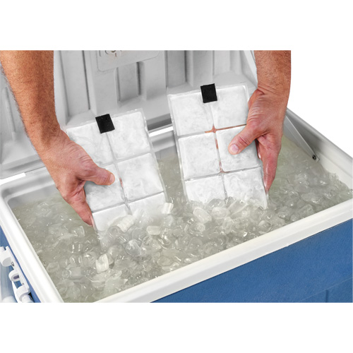 Sachets pour veste de refroidissement &agrave; changement de phase 6260 Chill-Its Les Distributions ICE