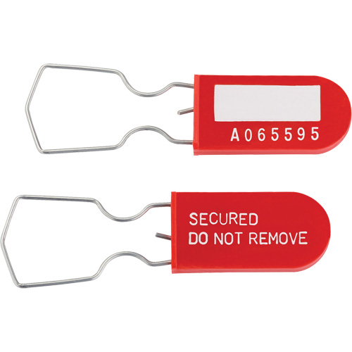 Dynamic Safety Equipment Inspection Tags, Plastic, 1" W x 2-1/4" H, English Les Distributions ICE