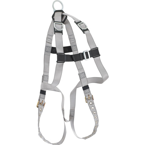 Dynamic B-Compliant Economy Harness, CSA Certified, Class AE, 310 lbs. Cap. Les Distributions ICE