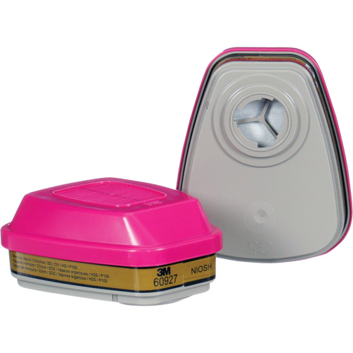 Cartridge, Combination Gas/Vapour Cartridge and Particulate Filter, Multi-Gas/Vapour/P100 Les Distributions ICE