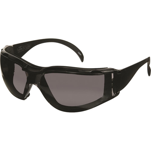 Lunettes de s&eacute;curit&eacute; CeeTec DX, Lentille Gris, Antibu&eacute;e/Anti-&eacute;gratignures, R&eacute;pond ou surpasse la norme CSA Z94.3 Les Distributions ICE