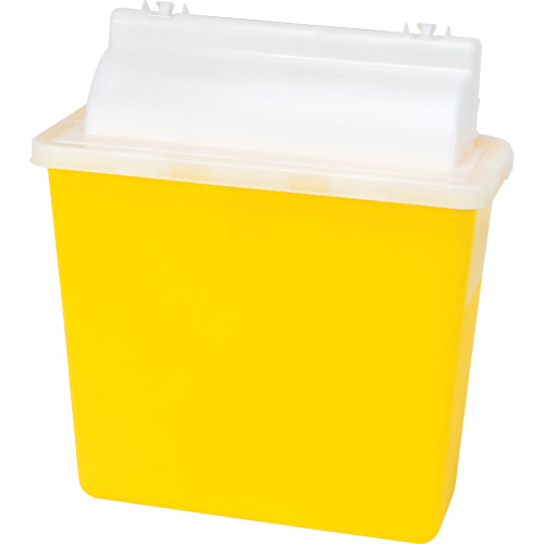 Sharps Container, 4.6L Capacity Les Distributions ICE