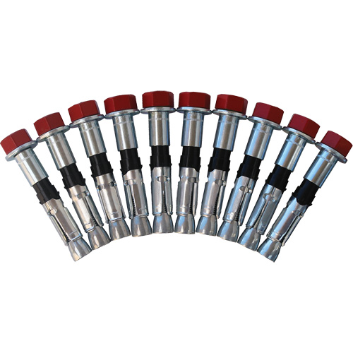Replacement Bolt Kit for Concrete D-Ring Anchors, Bolt-On, Permanent/Temporary Use Les Distributions ICE