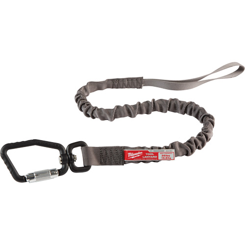 Locking Tool Lanyard, Bungee, Carabiner/Loop Les Distributions ICE